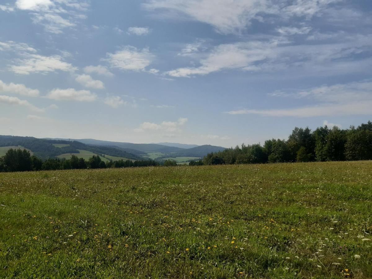 Domek Na Petli Hoczew Экстерьер фото